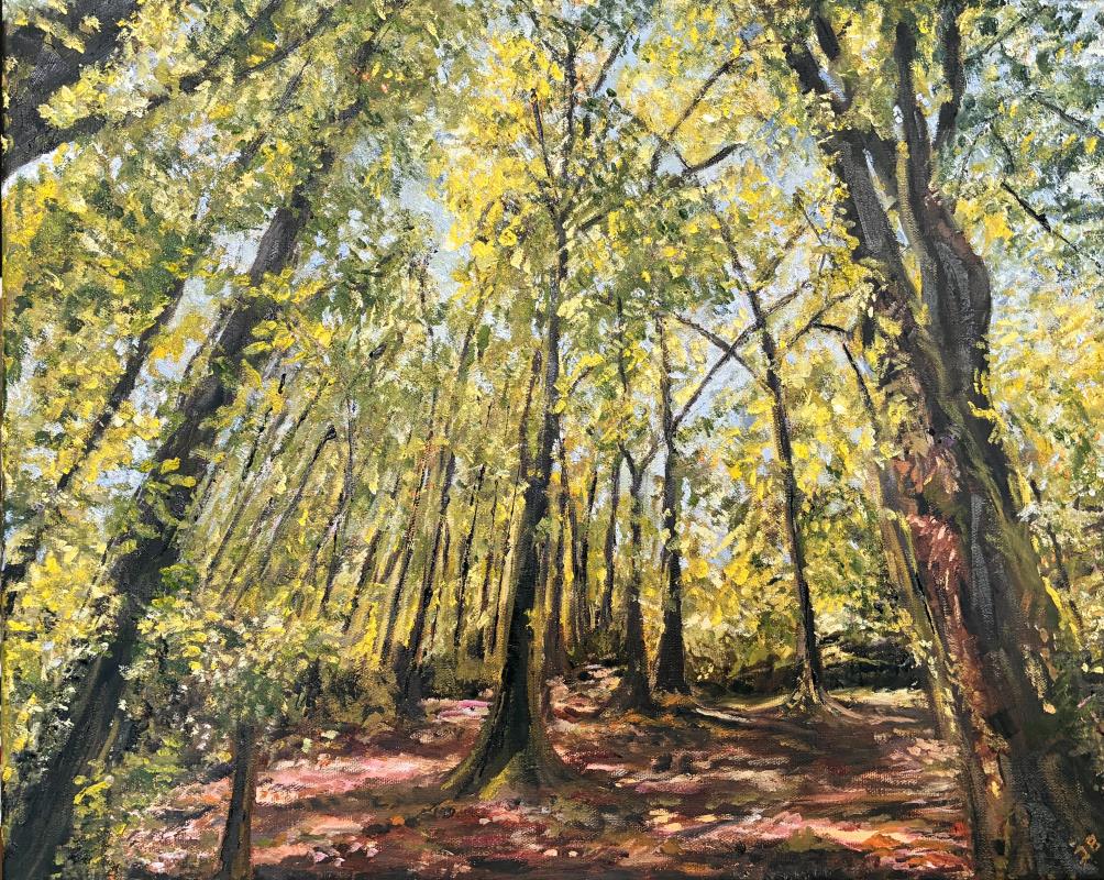 Among Trees, We Return to Ourselves